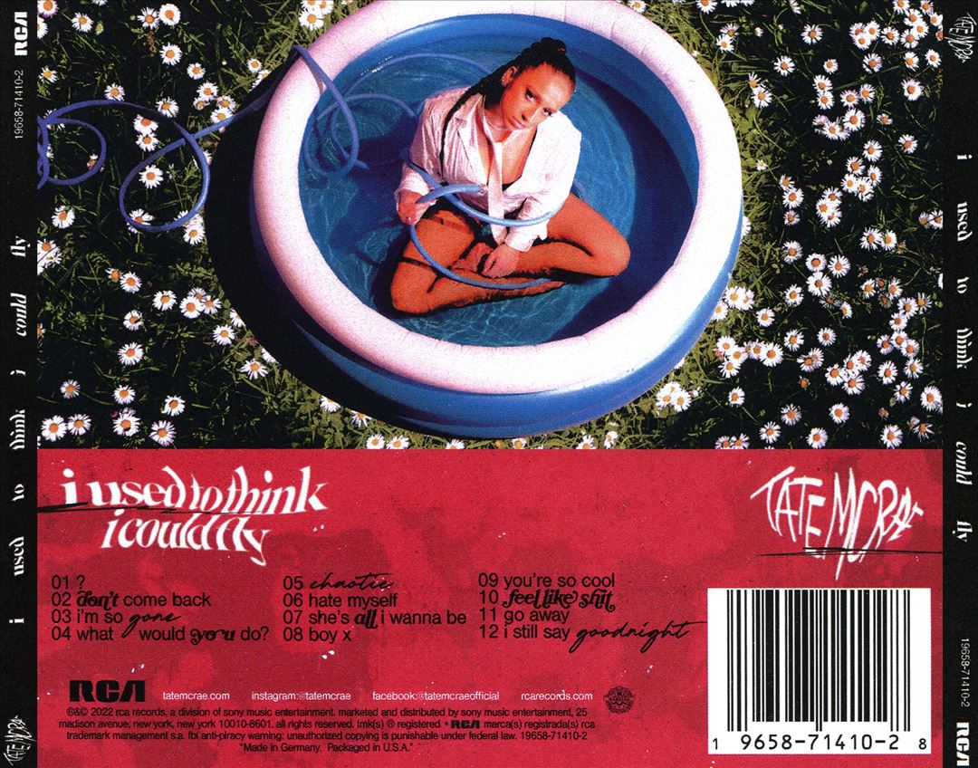 I Used to Think I Could Fly cover art