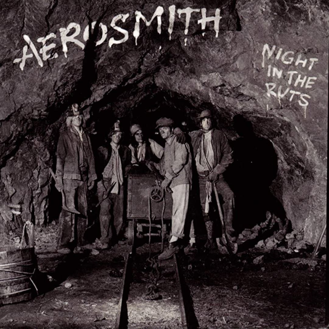 Night in the Ruts cover art