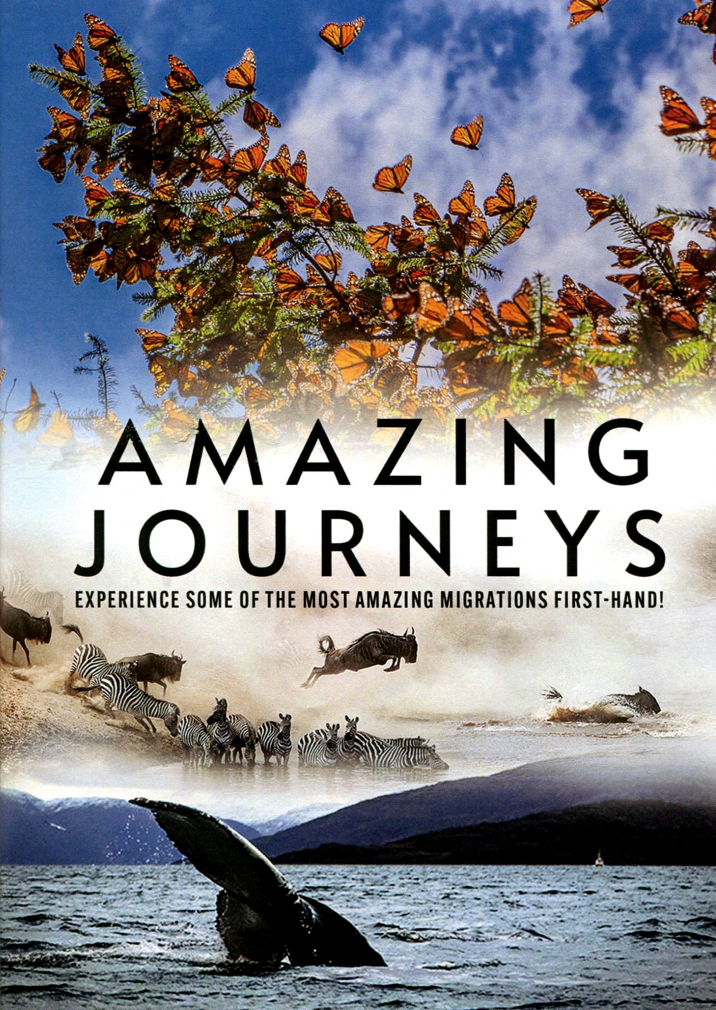 Amazing Journeys cover art