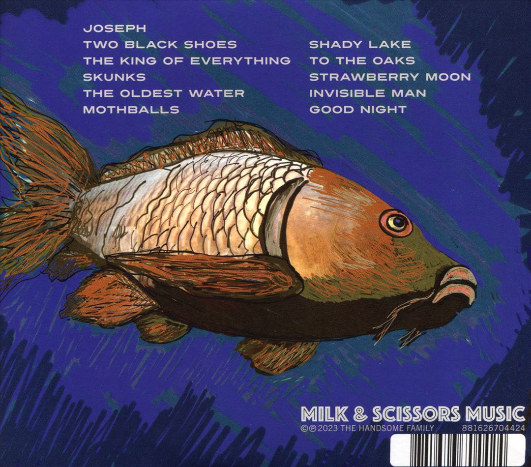Hollow cover art