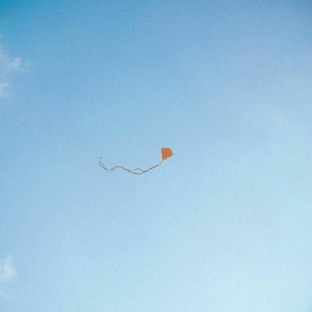 Lost, Found & Forgotten... cover art