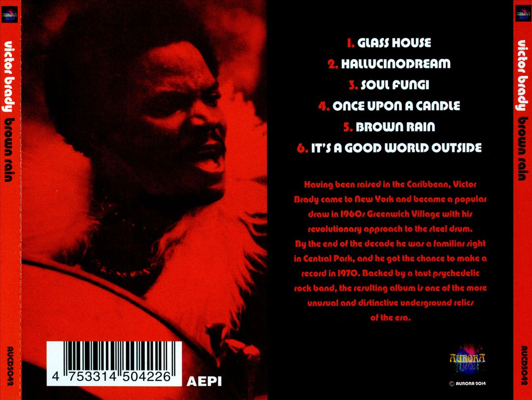 Brown Rain cover art