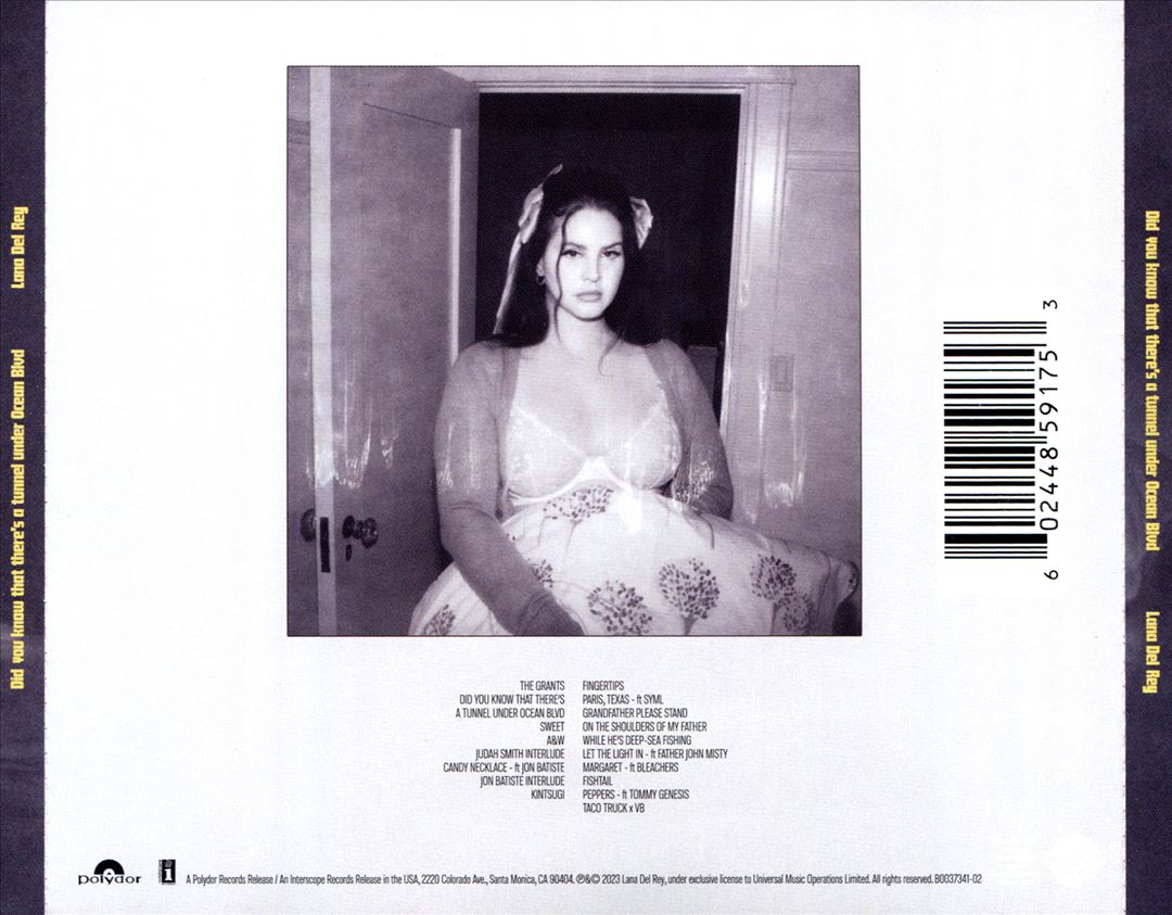 Did You Know That There's a Tunnel Under Ocean Blvd cover art