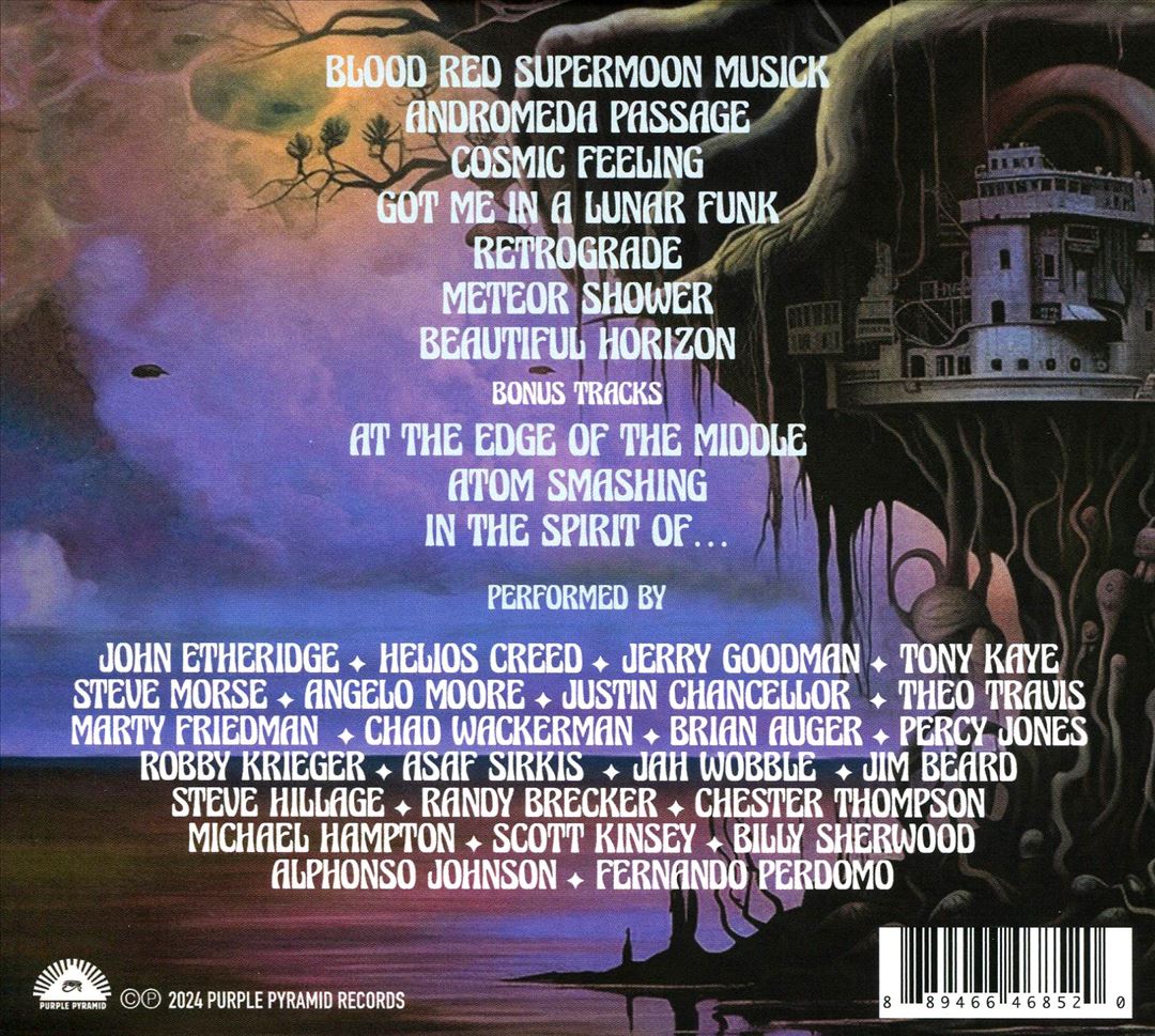 Beautiful Horizon cover art