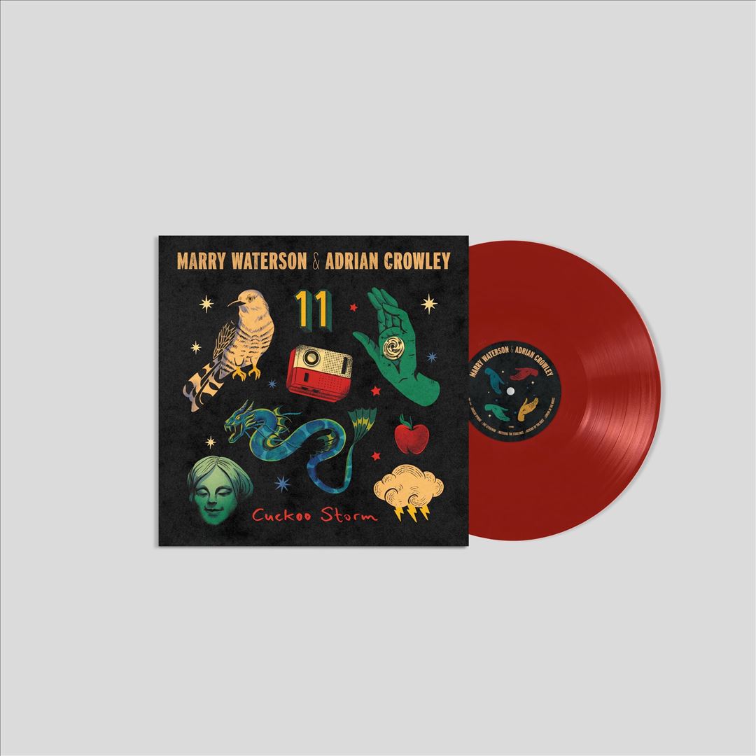 Cuckoo Storm cover art
