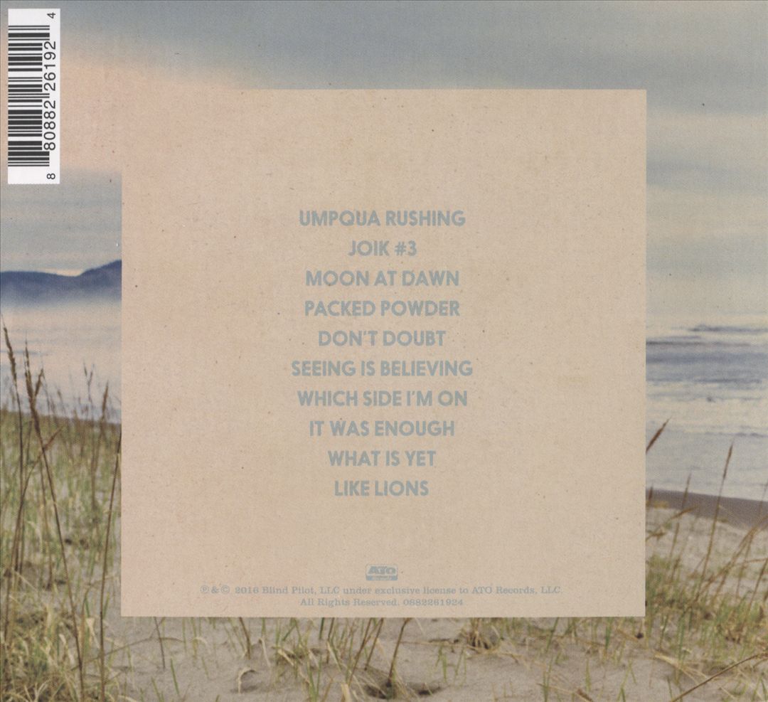 And Then Like Lions cover art