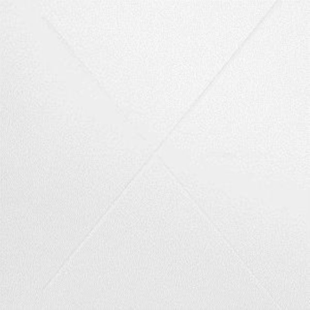 1+1=X cover art