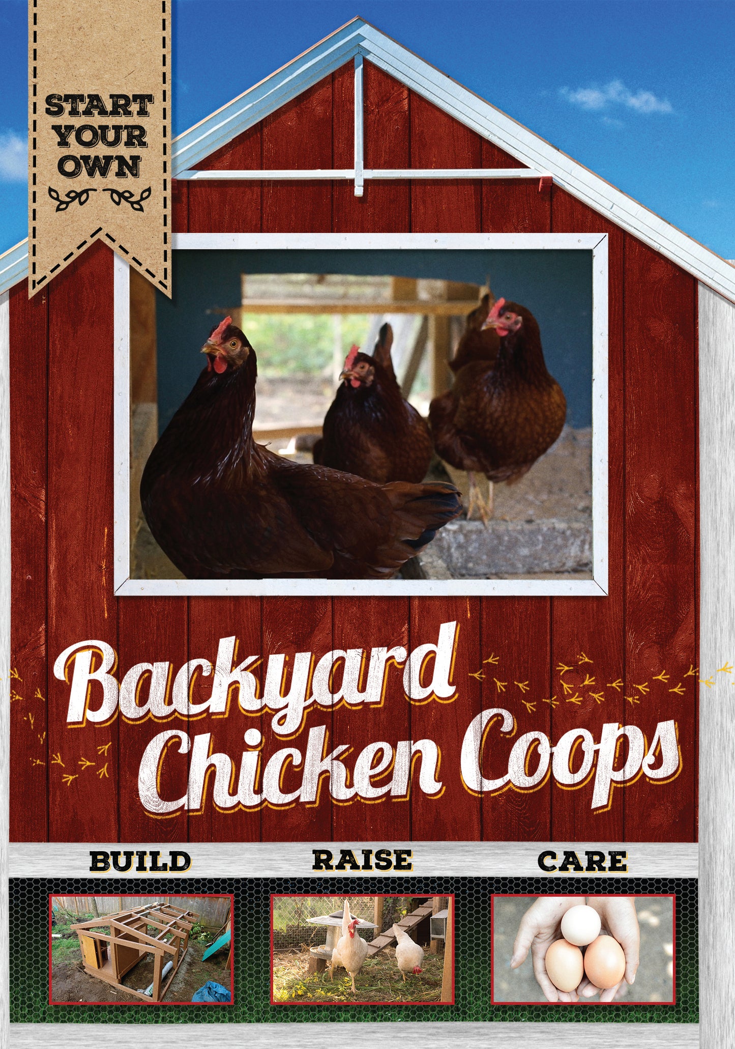 Backyard Chicken Coops cover art