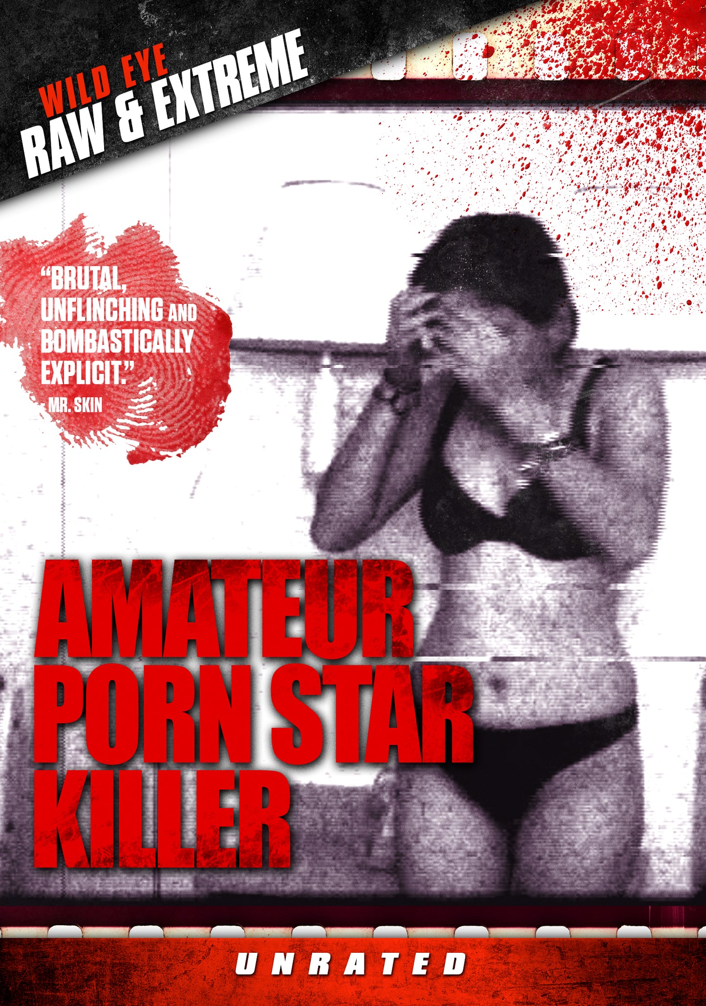 Amateur Porn Star Killer cover art