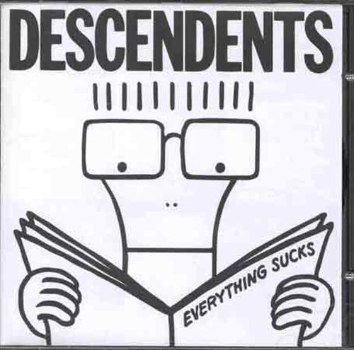 Everything Sucks cover art