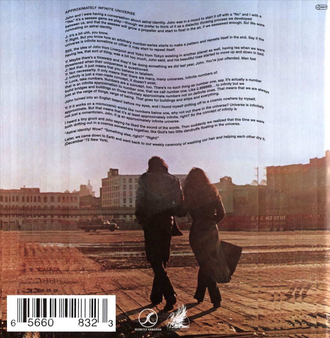 Approximately Infinite Universe cover art