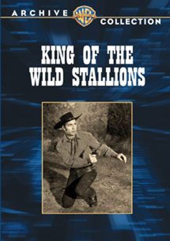 King of the Wild Stallions cover art