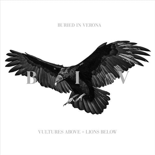 Vultures Above, Lions Below cover art