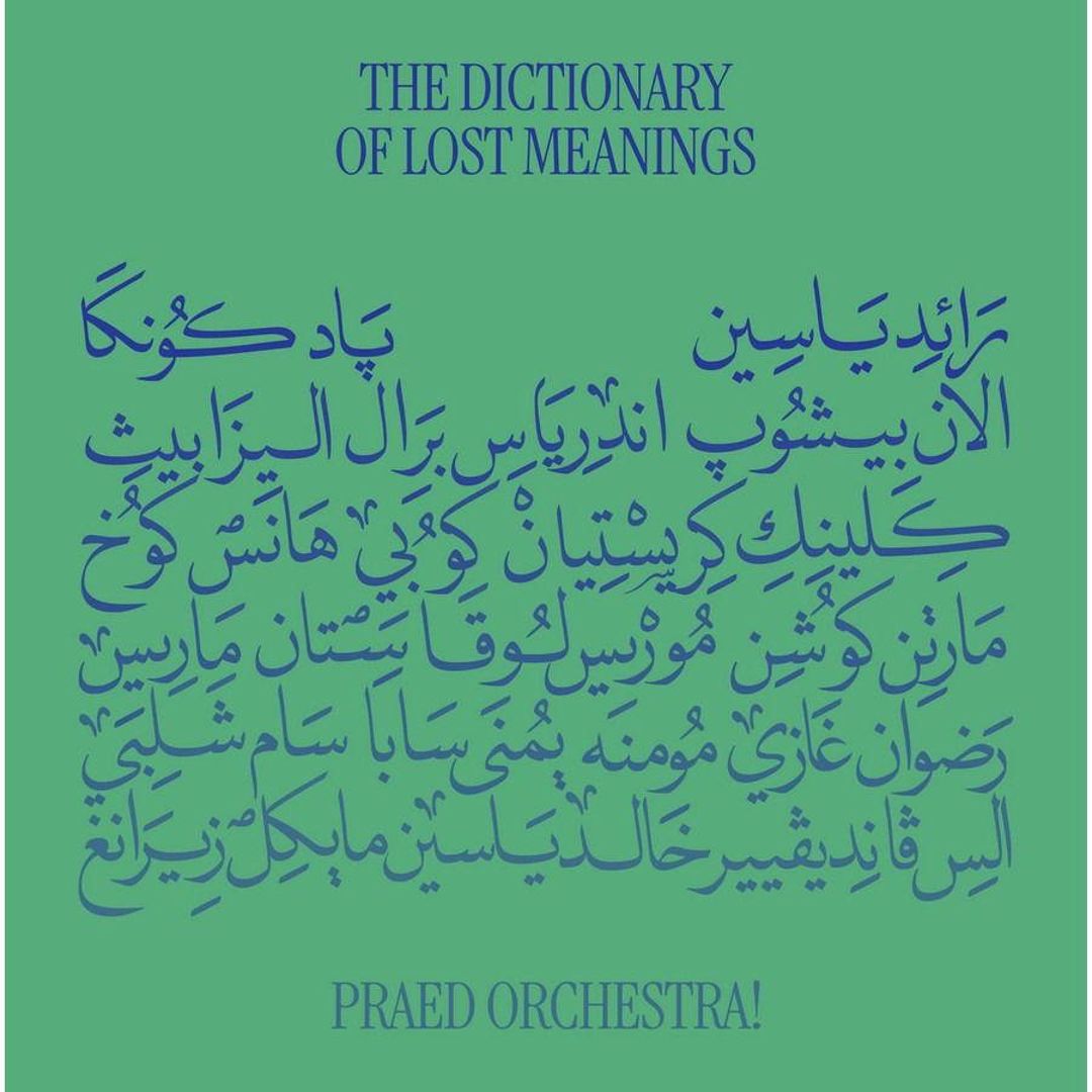 Dictionary of Lost Meanings cover art
