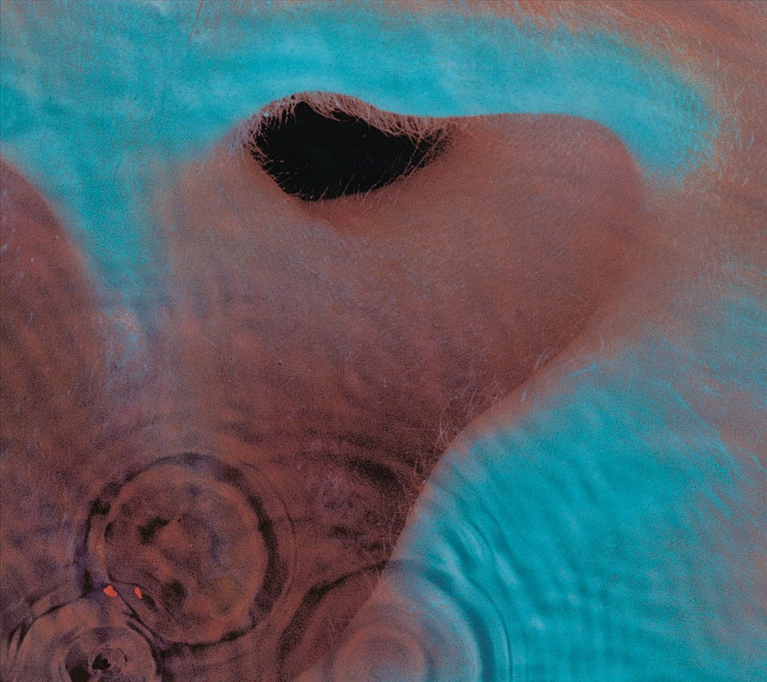 Meddle cover art