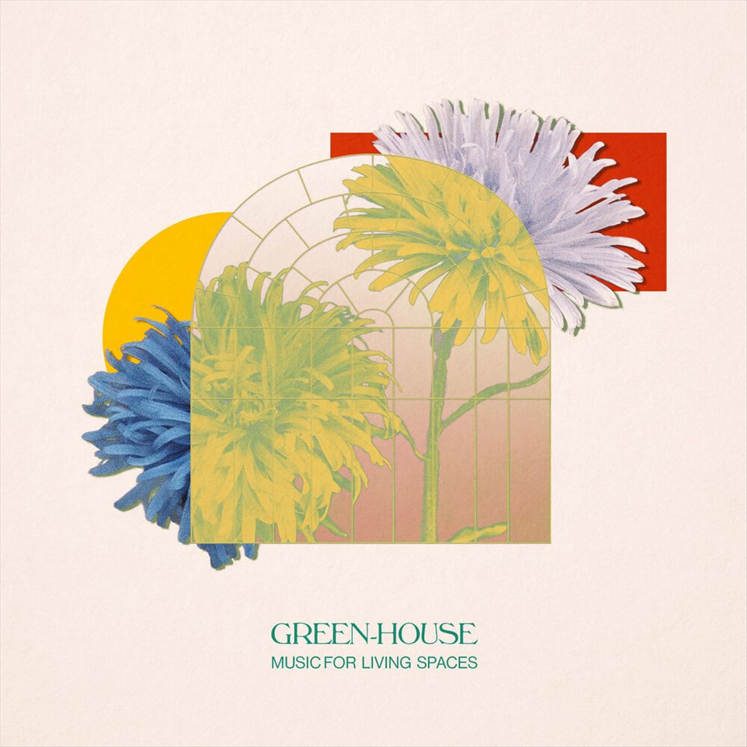White Noise Zen cover art