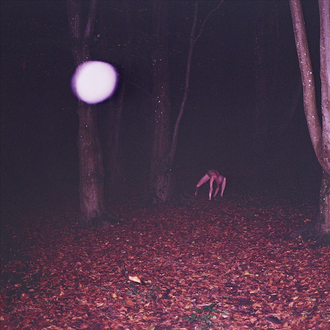 Skinwalker cover art
