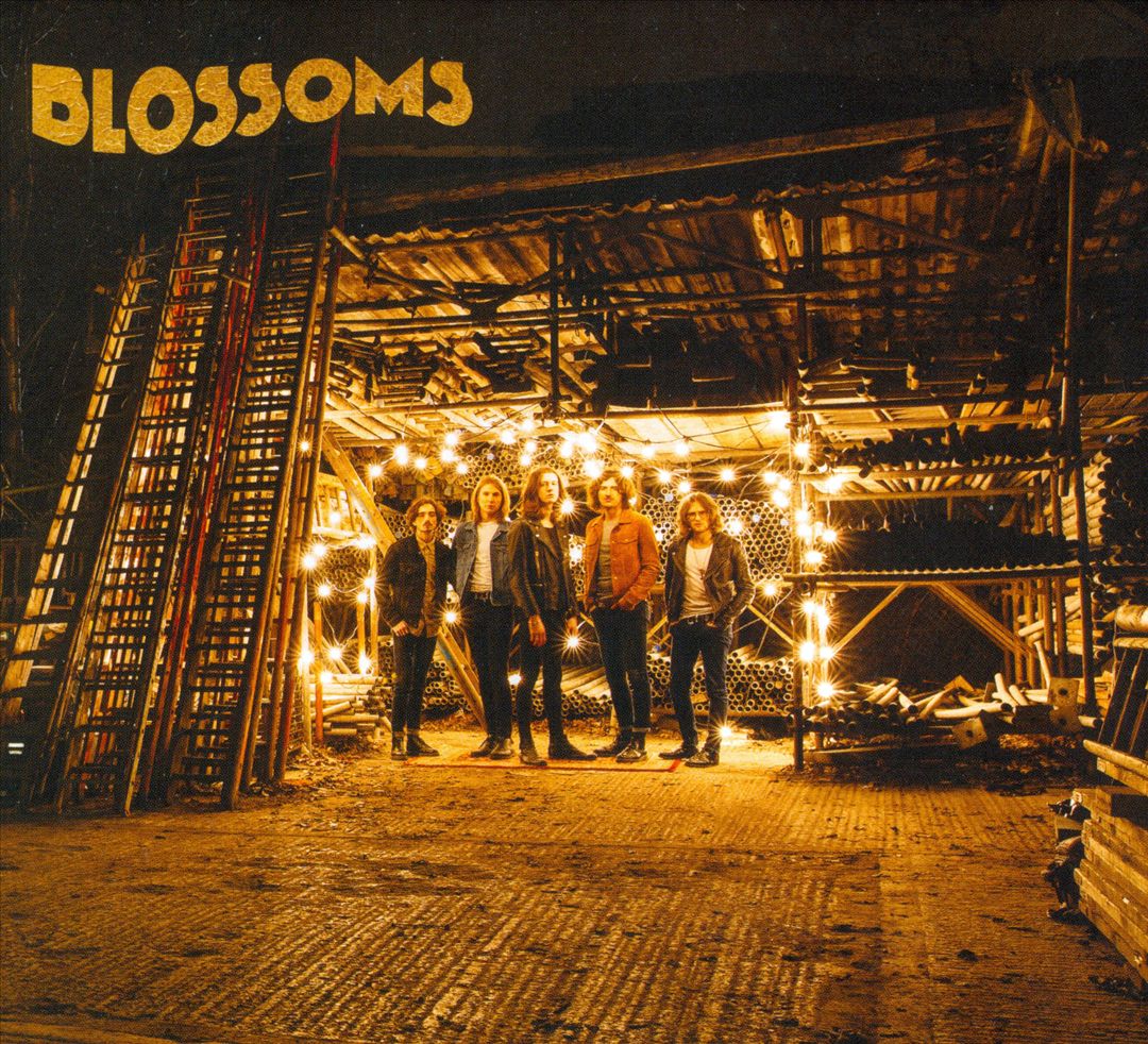 Blossoms cover art
