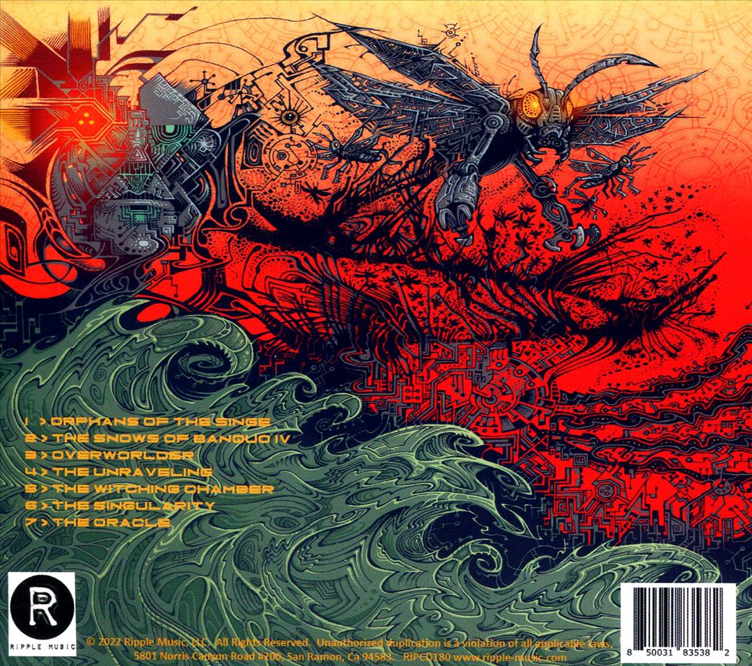 Singularity cover art
