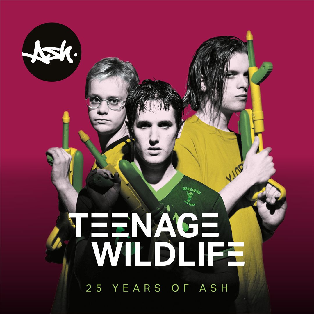 Teenage Wildlife: 25 Years of Ash cover art