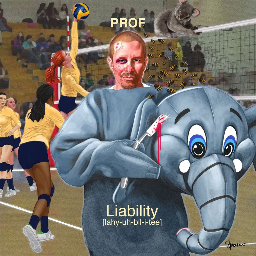 Liability cover art