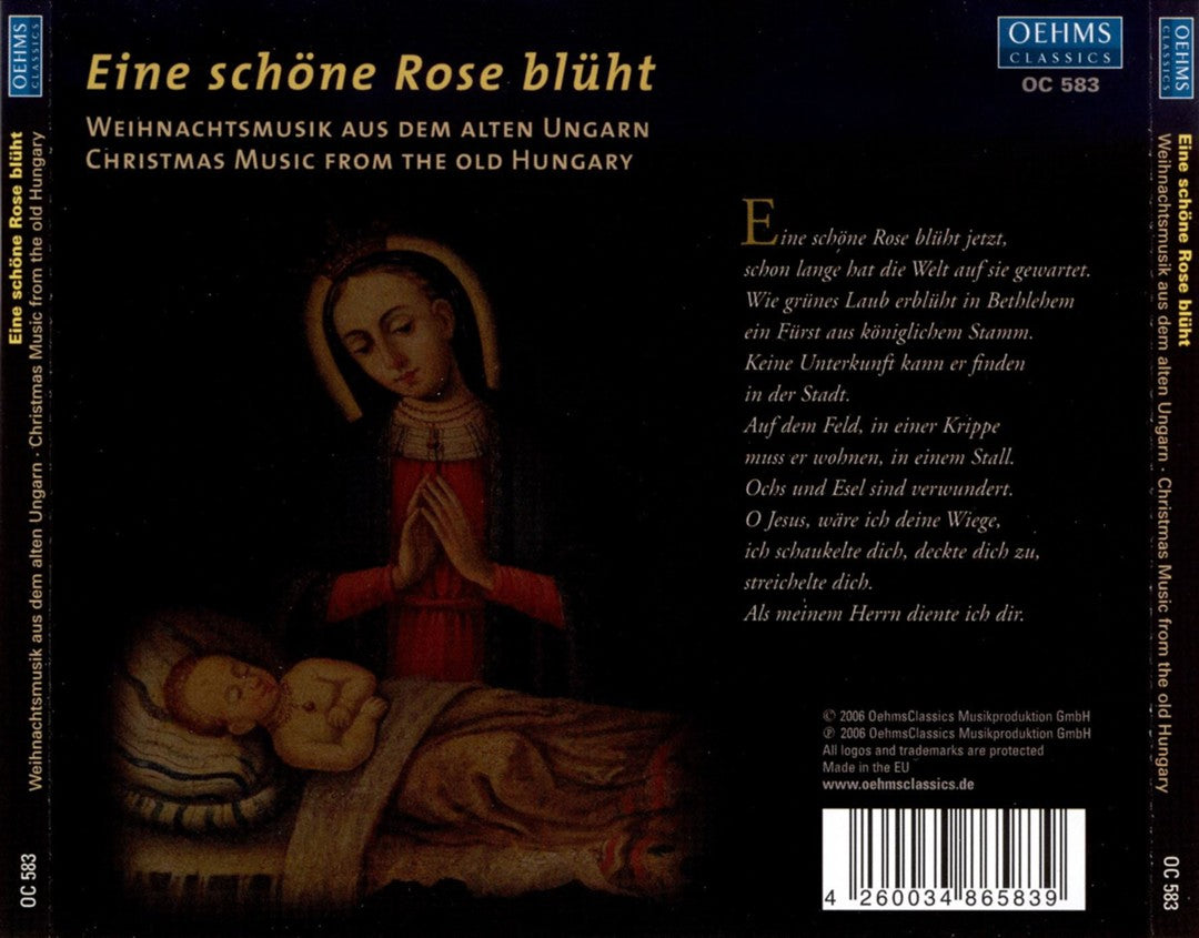 schöne Rose blüht cover art