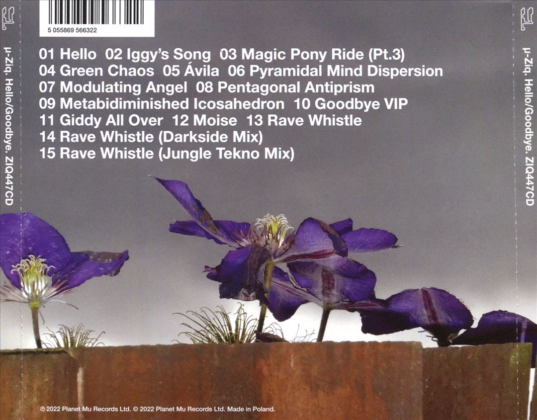 Goodbye cover art
