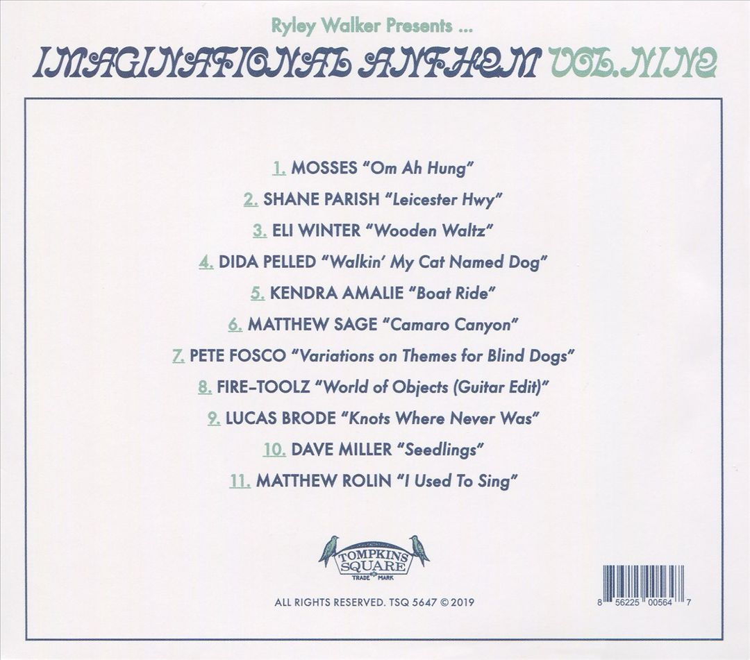 Ryley Walker Presents Imaginational Anthem, Vol. 9 cover art
