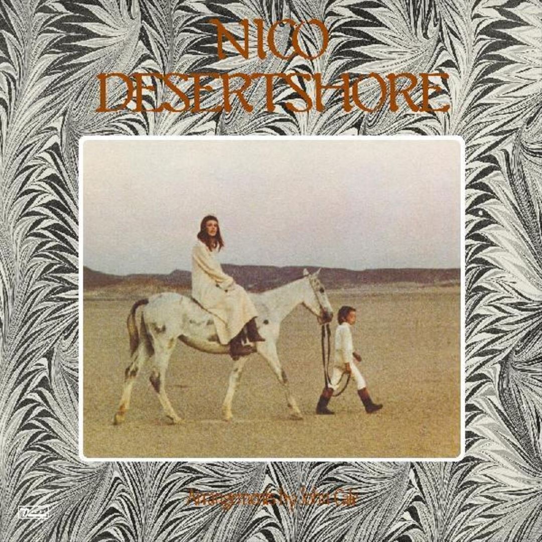Desertshore cover art