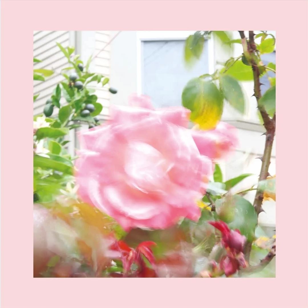 Summer at Land's End cover art