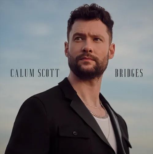 Bridges cover art