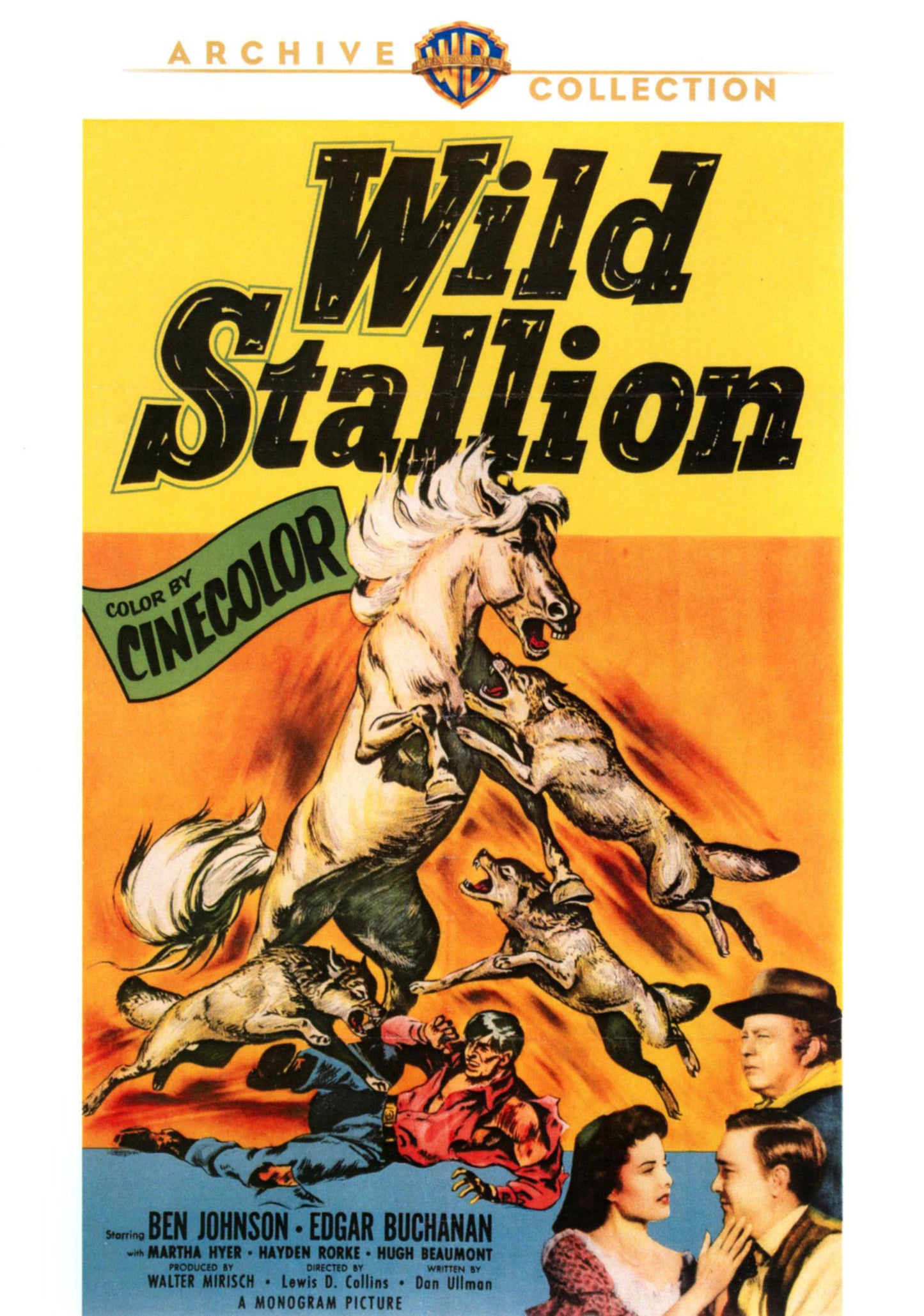 Wild Stallion cover art