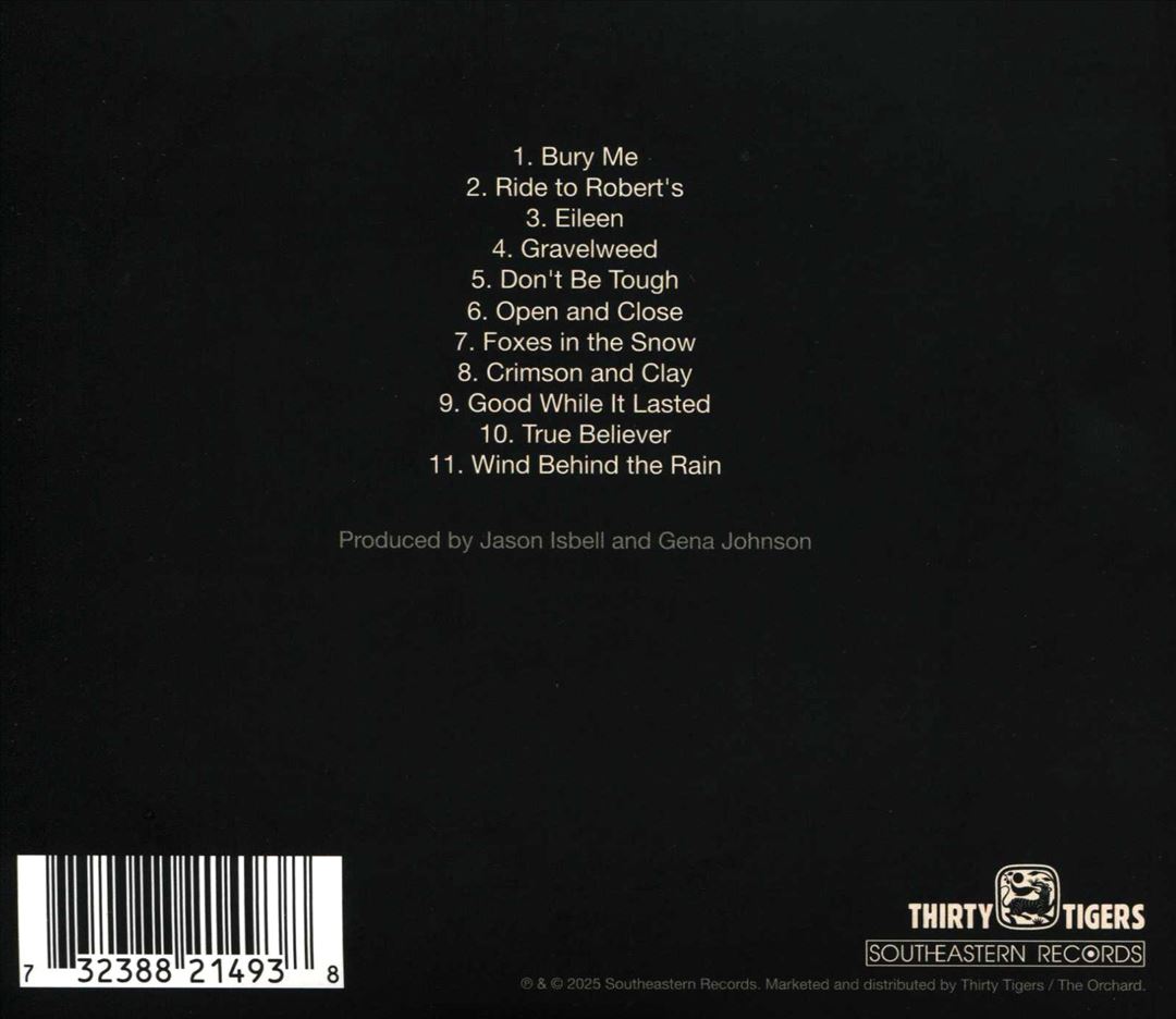 Foxes in the Snow cover art