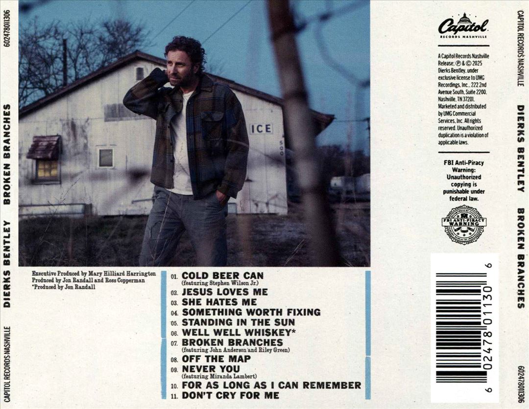 Broken Branches cover art