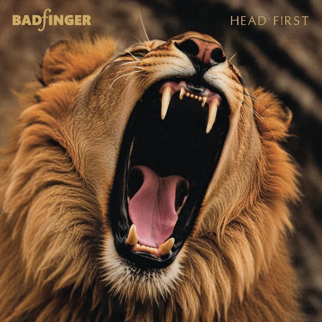 Head First cover art