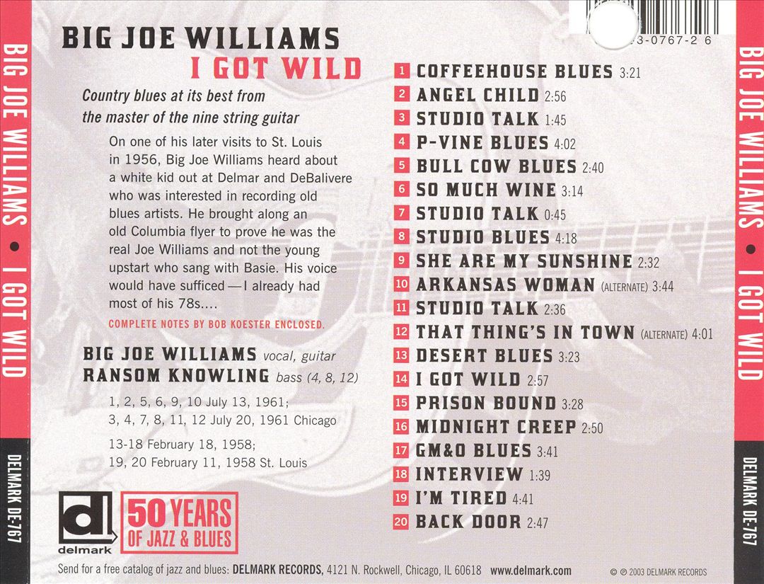 I Got Wild cover art