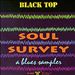 Soul Survey: A Blues Sampler cover art