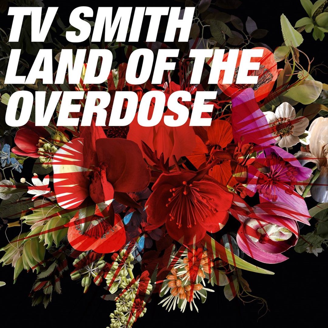 Land of the Overdose cover art