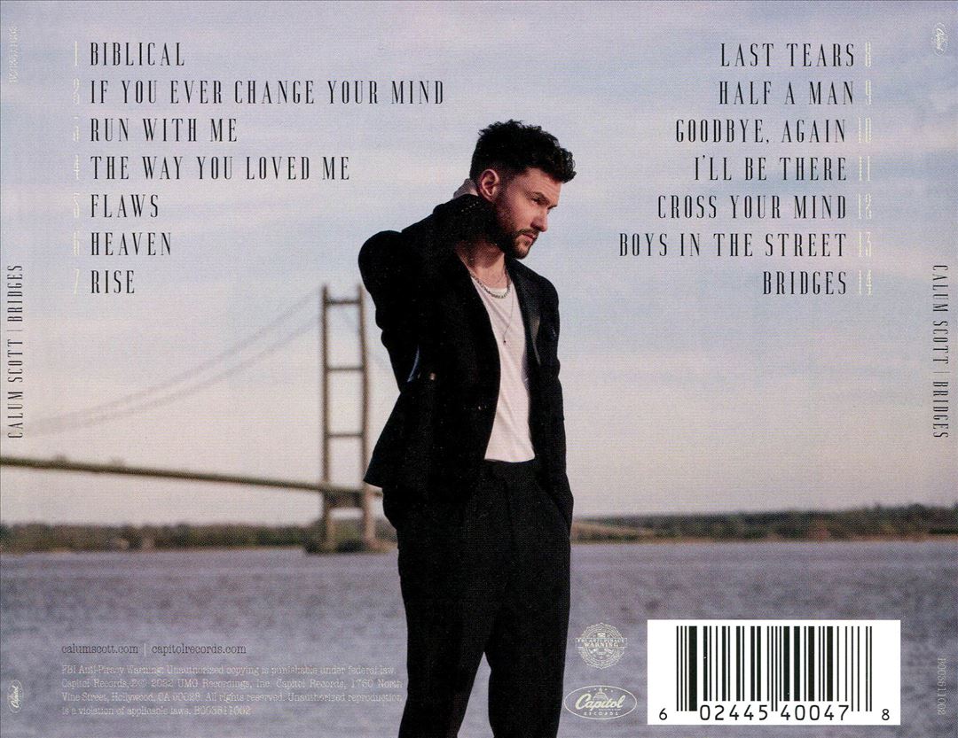 Bridges cover art