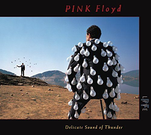 Delicate Sound of Thunder cover art