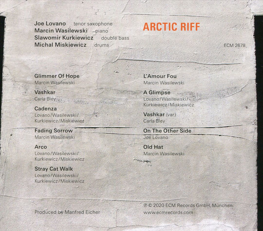 Arctic Riff cover art