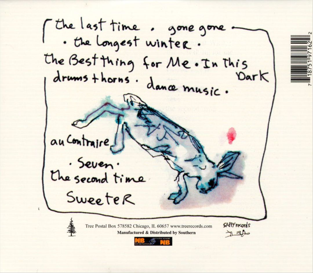 Julie Doiron and the Wooden Stars cover art