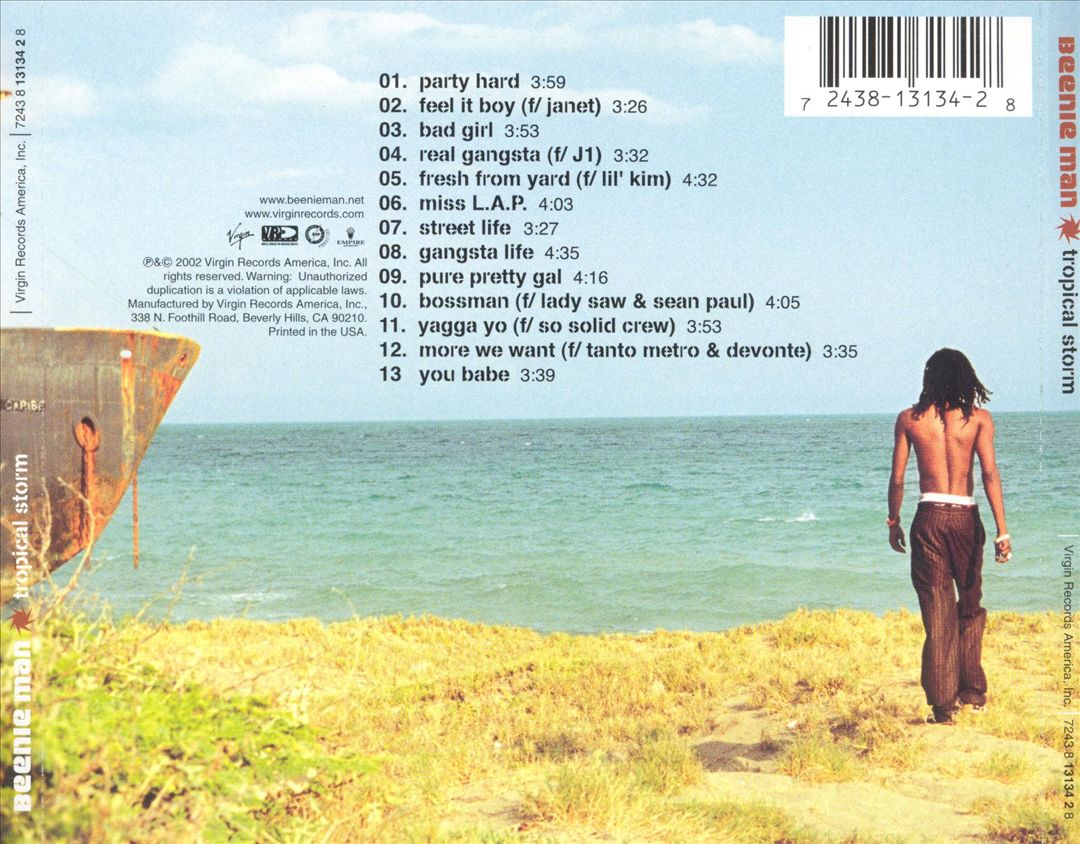 Tropical Storm cover art