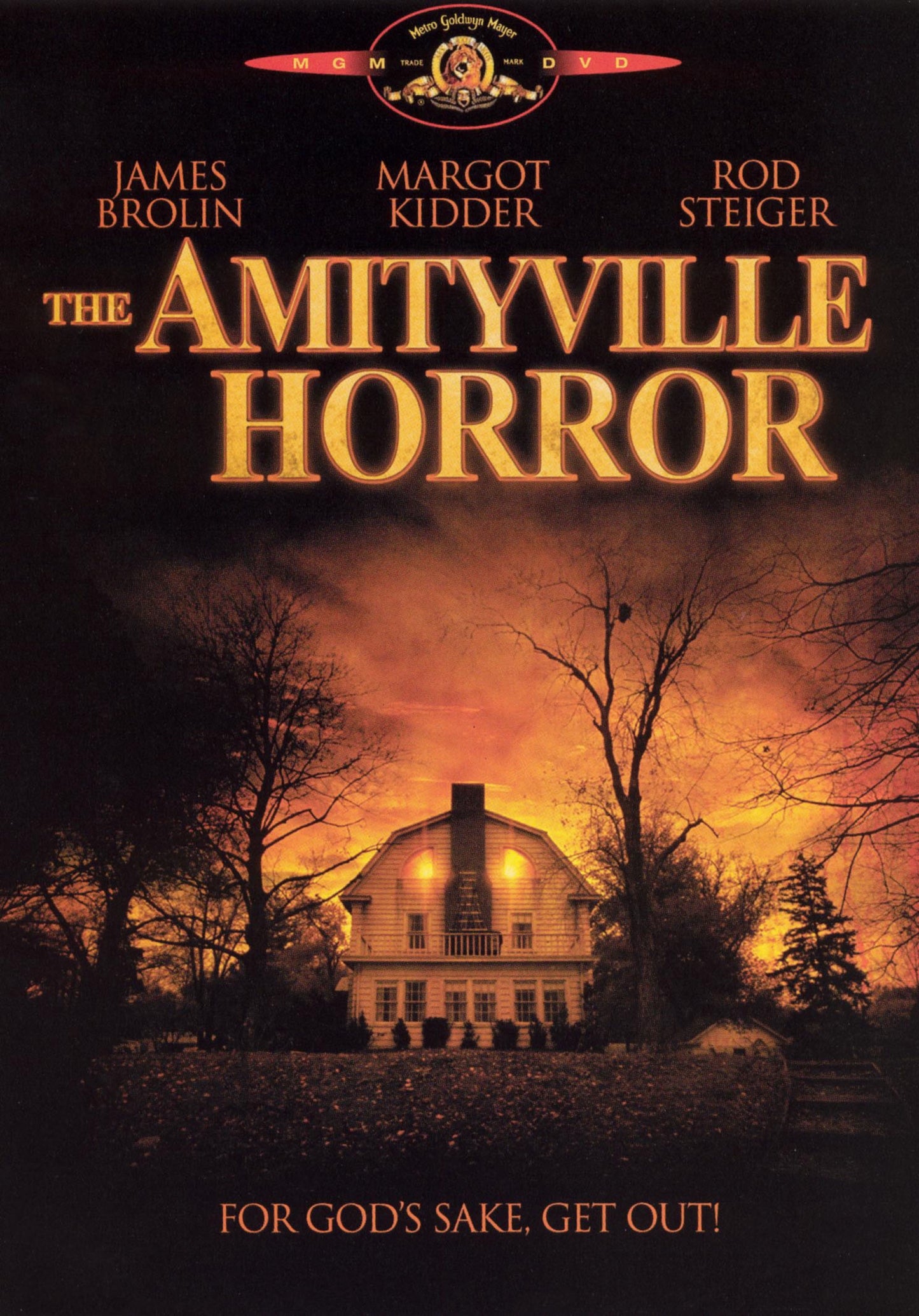 Amityville Horror cover art