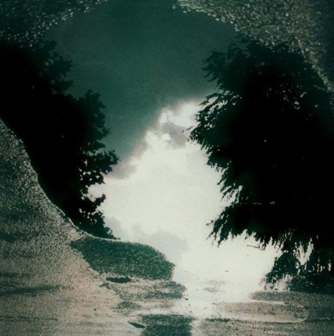 Feeding the Flame cover art