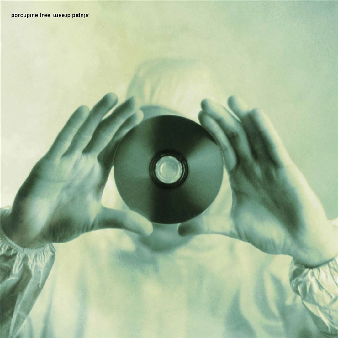 Stupid Dream cover art