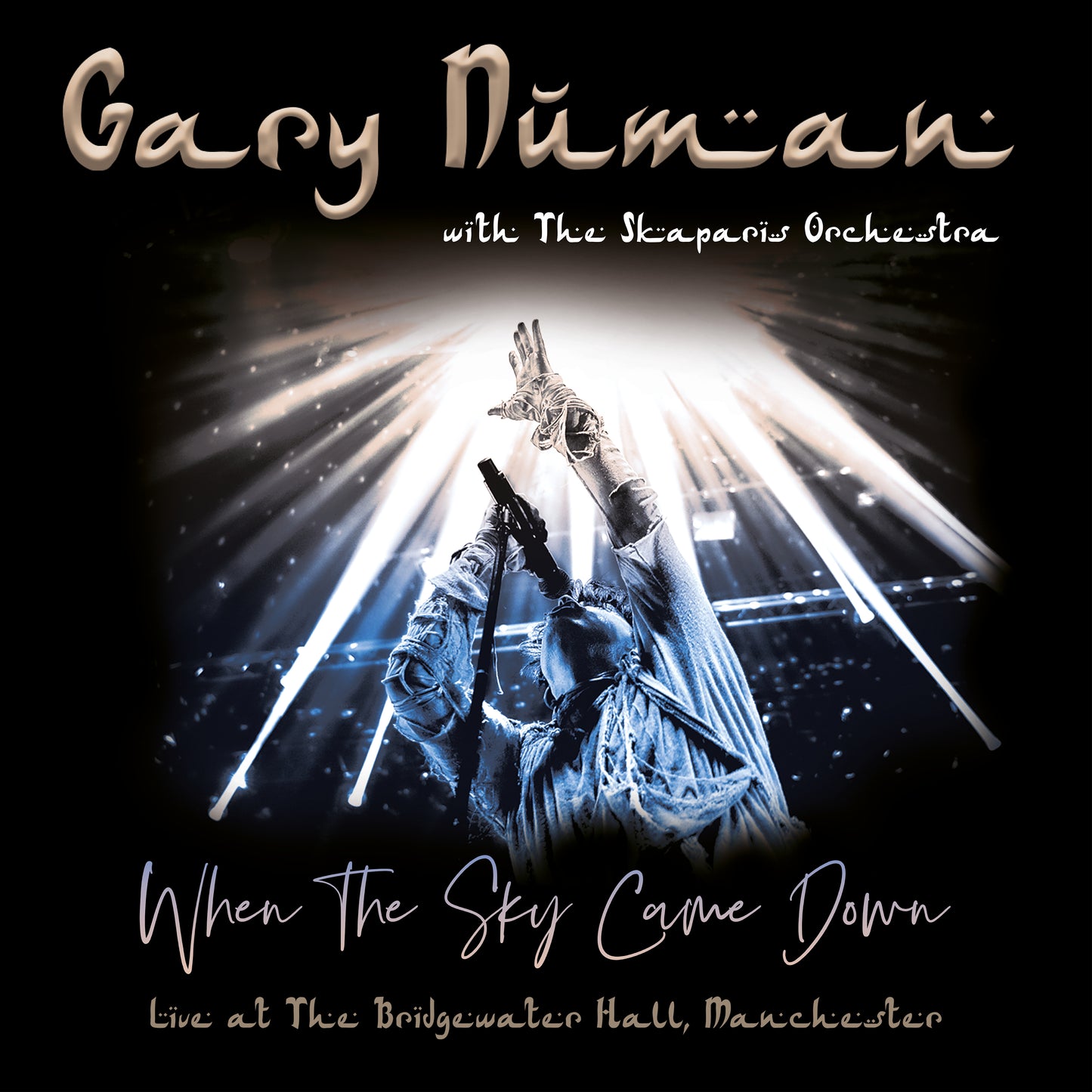 When the Sky Came Down: Live at the Bridgewater Hall, Manchester cover art