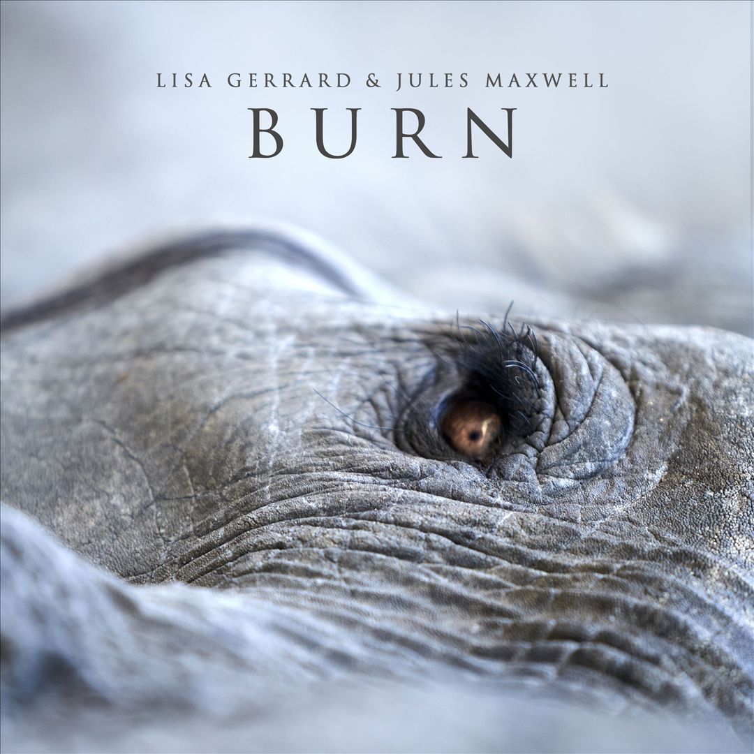Burn cover art