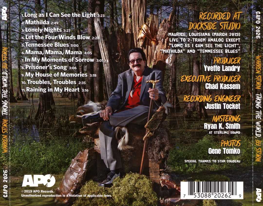 Taking the World, by Storm cover art
