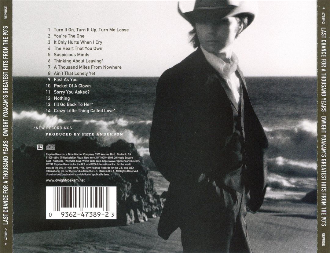 Last Chance for a Thousand Years: Greatest Hits from the 90's cover art